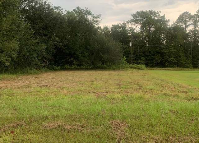 Property at 16,17 Roy Hodges Rd, Donalsonville, GA 39845