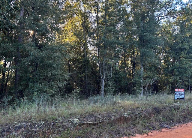 Property at 14 & 15 Paradise Dr, Donalsonville, GA 39845