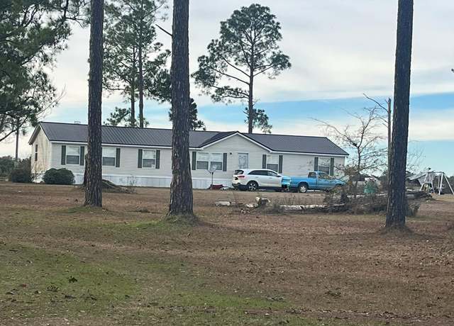 Property at 994 Hornsby Rd, Iron City, GA 39859, 4 beds, 2 baths