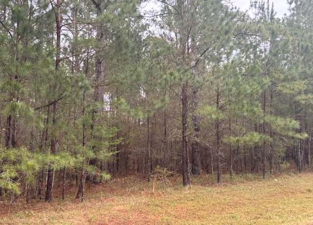 Property at Lot 7 Cinnamon Dr Unit 117/20, Bainbridge, GA 39819