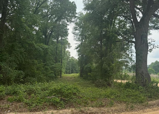Property at 000 Barber Rd, Brinson, GA 39825