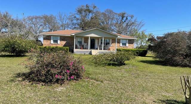 Photo of 5189 Hwy 45, Iron City, GA 39859