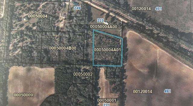 Photo of 000 Swanwall Rd, Brinson, GA 39825