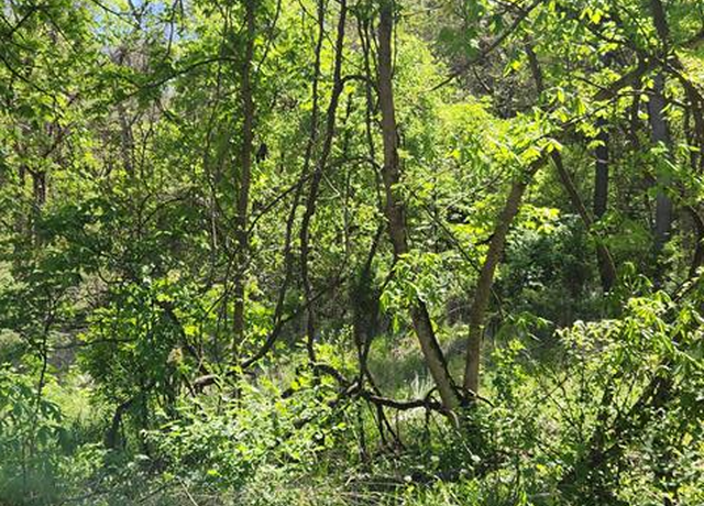 Property at 0 Video St, Cameron, WV 26033