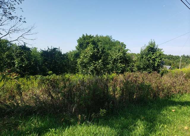 Property at TBD Coventry Rd, Valley Grove, WV 26060