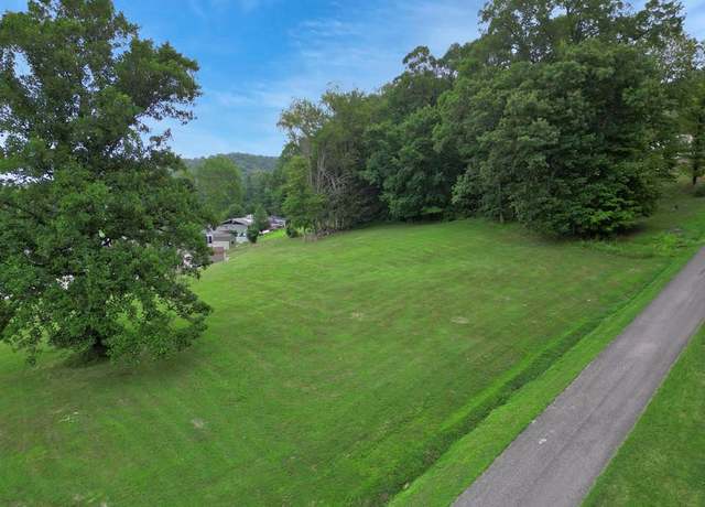 Property at TBD Locust Ln, Sistersville, WV 26175