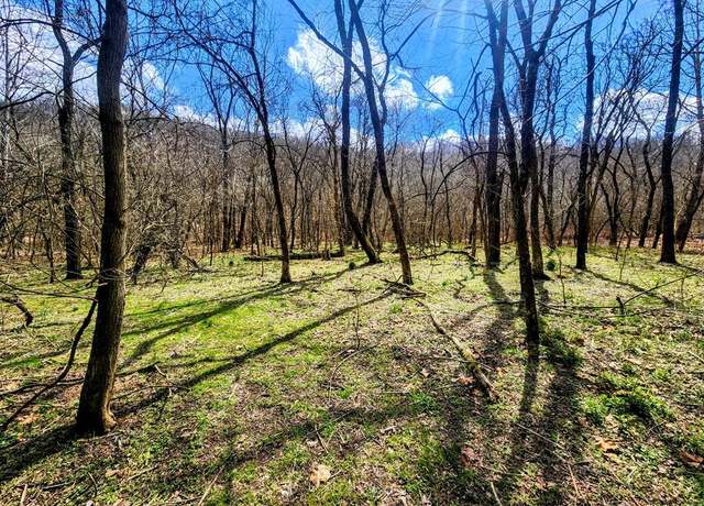 Property at 0 Kings Creek Rd, Weirton, WV 26002