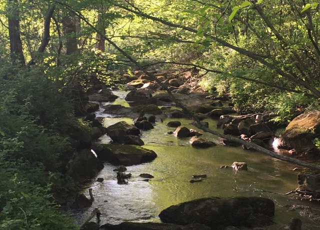 Property at 00 North Sandbranch, Mt. Hope, WV 25880