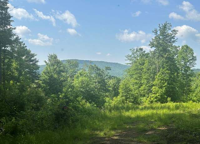 Property at 868 Frazee Ridge Rd, Danese, WV 25831