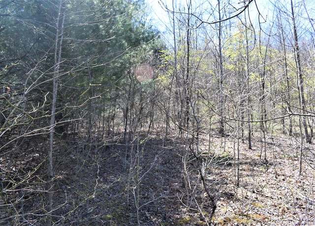 Property at 000 Sidney St, Beckley, WV 25801