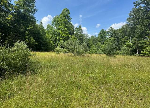 Property at 00 Elliott Rd, Hico, WV 25854