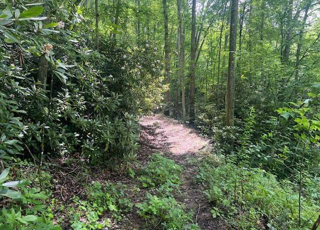 Property at 00 White Oak Fork Rd, Fayetteville, WV 25840