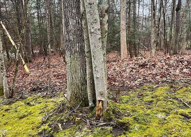 Property at 00 Timber Ridge Dr, Beckley, WV 25801
