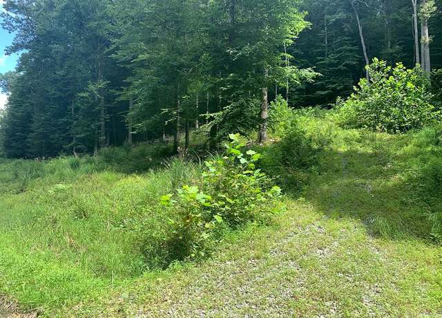 Property at 00 Mountain Laurel Rd, Summersville, WV 26651