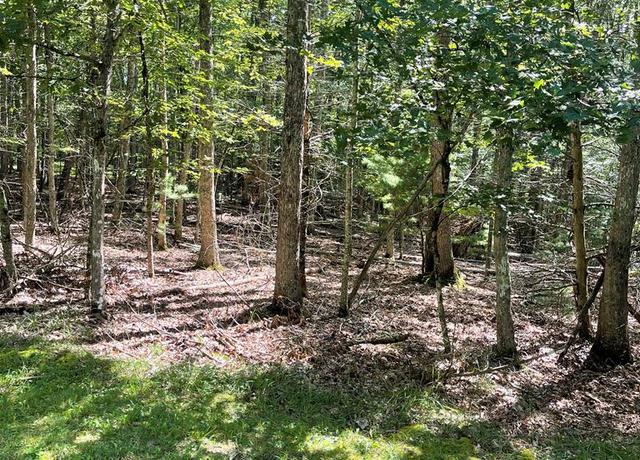 Property at 222 Mountain Laurel Rd #43, Daniels, WV 25832