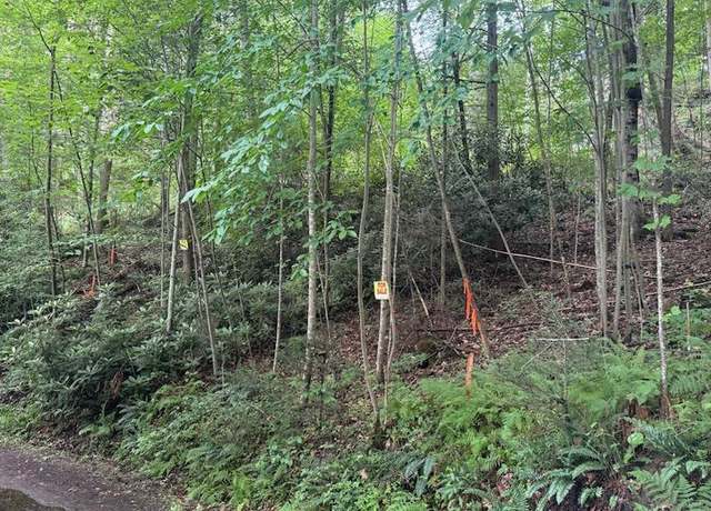Property at 0 Pump St #190, Fayetteville, WV 25840