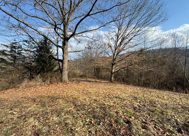 Property at 000 Bee Branch Rd, Mt. Hope, WV 25880