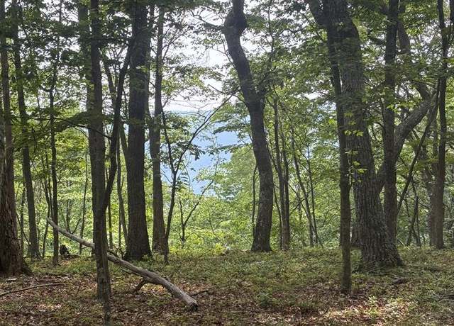 Property at 0 Bob Plumley Rd, Shady Spring, WV 25918
