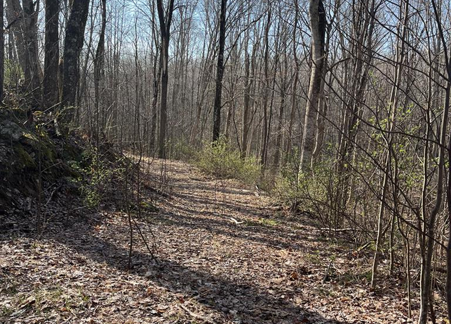 Property at 0 Myron Ct, Shady Spring, WV 25918