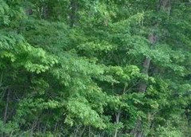 Property at 0 Rt 3, Trap Hill, WV 25844