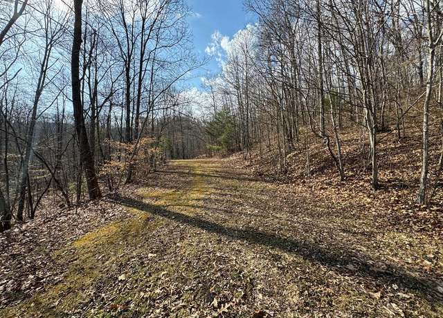 Property at 000 Bee Branch Rd, Mt. Hope, WV 25880