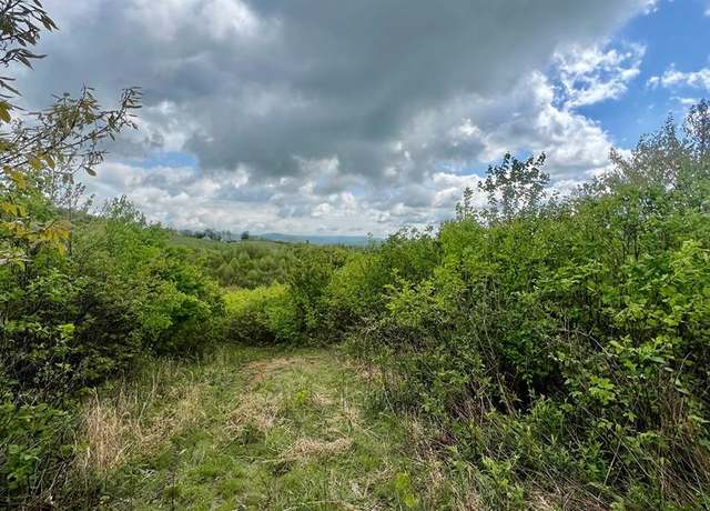 Property at 0 Basham Branch Rd, Jumping Branch, WV 25951