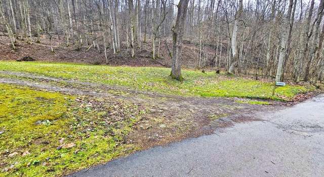 Photo of 1272 White Oak Creek Rd, Artie, WV 25008