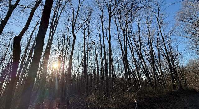 Photo of 0 Tommy's Creek Rd, Odd, WV 25902