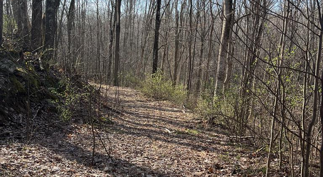 Photo of 0 Myron Ct, Shady Spring, WV 25918
