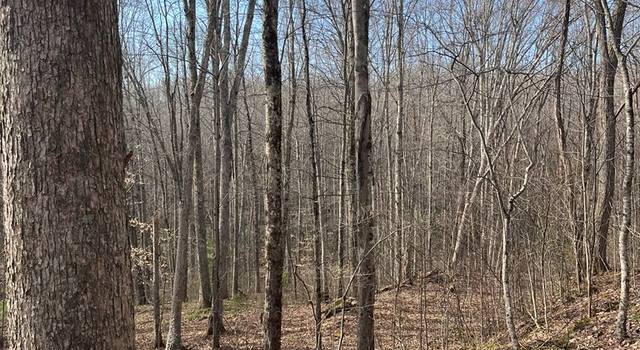 Photo of 0 Myron Ct, Shady Spring, WV 25918