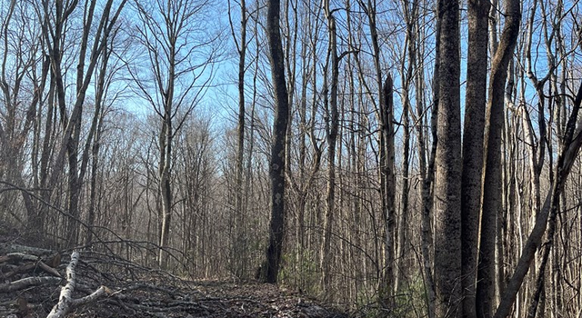 Photo of 0 Myron Ct, Shady Spring, WV 25918