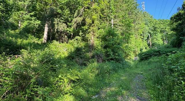 Photo of 000 Virginia Ave, Mt. Hope, WV 25880