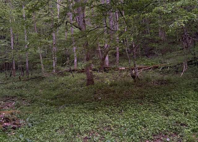 Property at 0 Bluestone, Montcalm, WV 24737