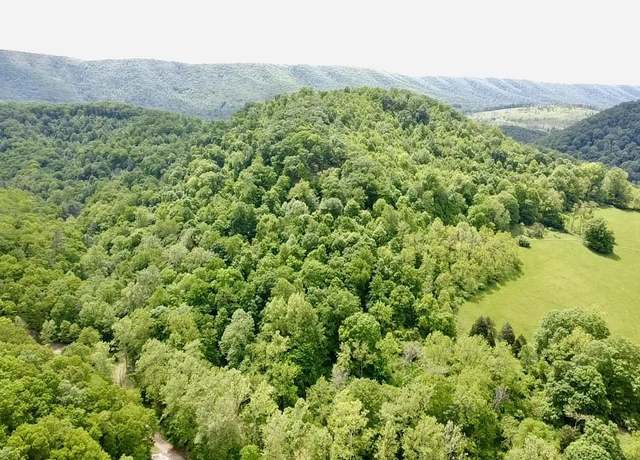 Property at 0 Two Brothers Rd, Lindside, WV 24951