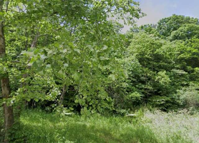 Property at 0 Cabin Branch Rd, Rock, WV 24747