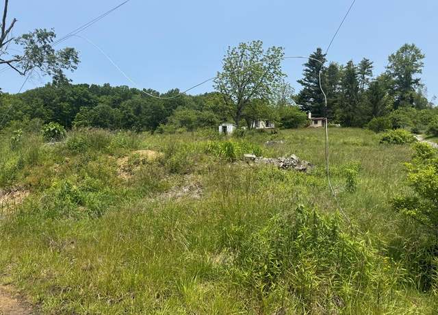 Property at 0 Presbyterian Ave, Lashmeet, WV 24733