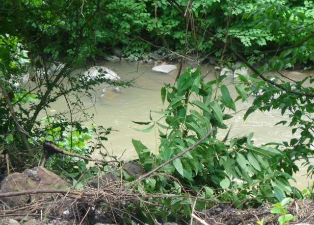 Property at 00 Yukon River Rd, War, WV 24892