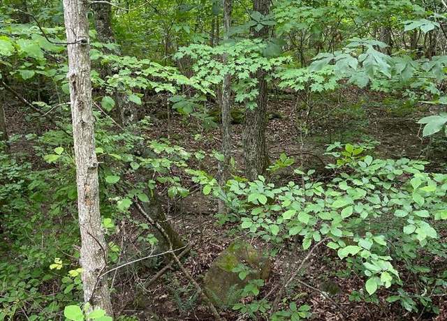 Property at 0 Sandlick Rd, Princeton, WV 24740