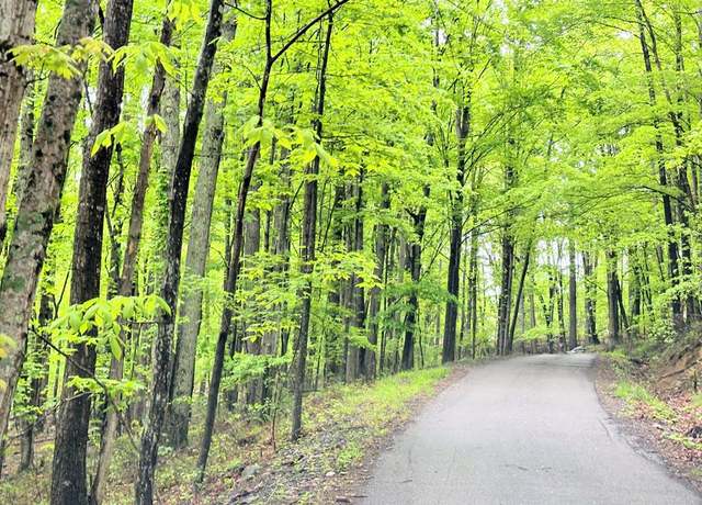 Property at 000 Memory Ln, Oakvale, WV 24739