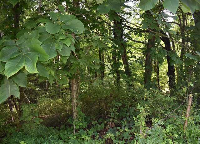 Property at TBA Tba Beverly Hills Dr, North Tazewell, VA 24630