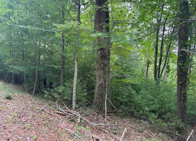 Property at 0 Cave Rdg, Hinton, WV 25951