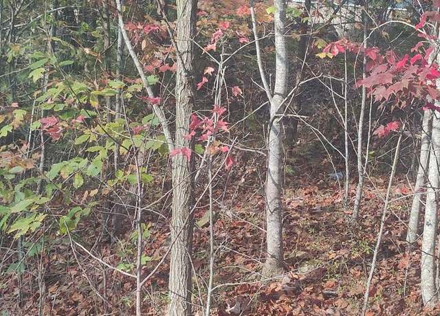 Property at 0 Asher Ln, Princeton, WV 24739