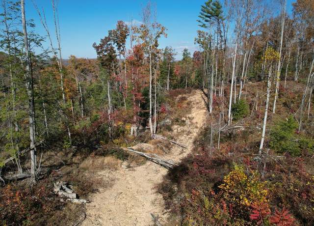 Property at 0 Bragg Rd, Lerona, WV 25971