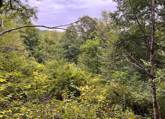 Property at 0 Lamar Rd, Matoaka, WV 24733