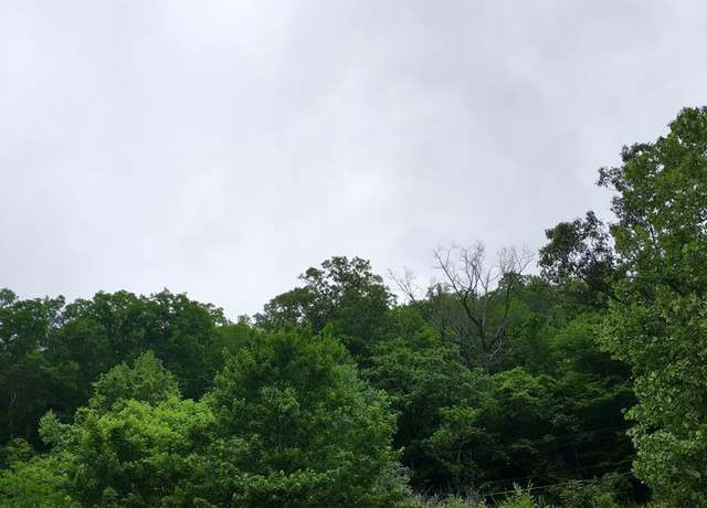 Property at 186 Old Davy Rd, Davy, WV 24828