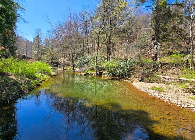 Property at 125 Katydid Dr, Valley Head, WV 26294