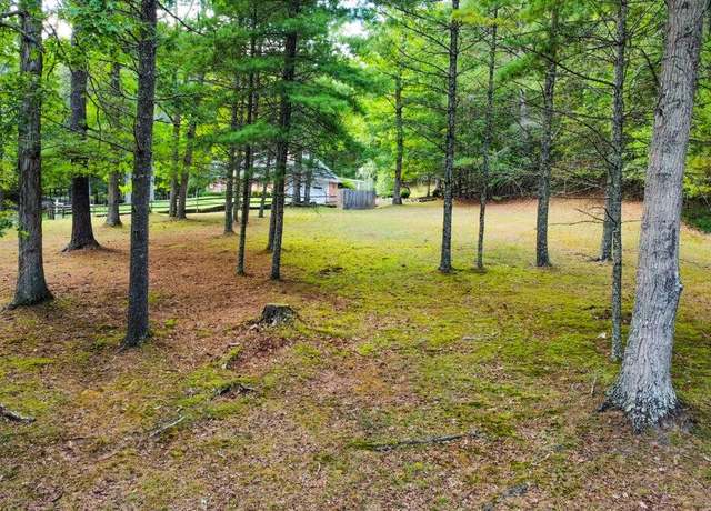 Property at Tbd Laurel Dr Unit Tract 1, White Sulphur Springs, WV 24986