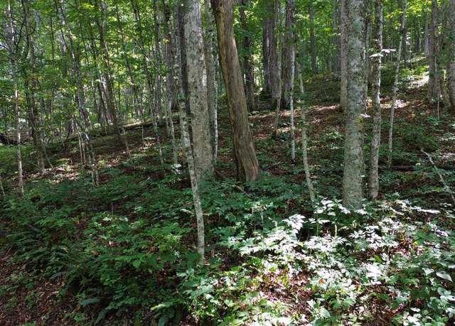 Property at 346 Little Mountain Dr Unit C1, Hillsboro, WV 24946