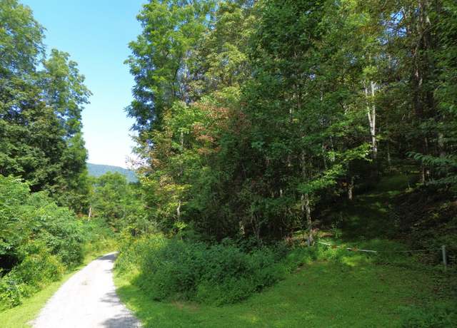Property at 1 Deer Vw Unit A-1, Hillsboro, WV 24946