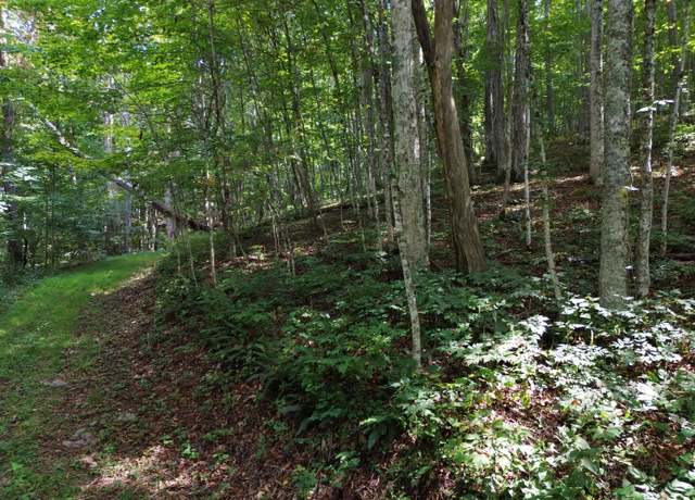 Property at 284 Little Mountain Dr Unit A1 & C1, Hillsboro, WV 24946
